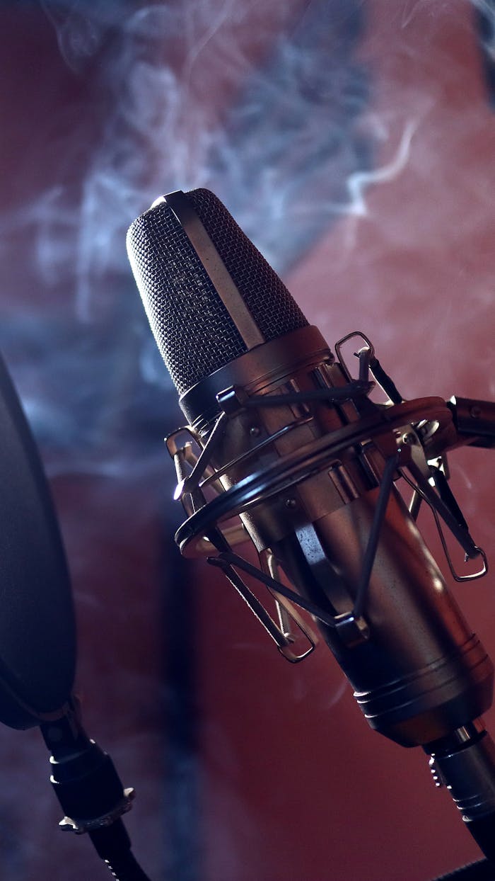 services-03 Close-up of a studio microphone with a dramatic smoke background, perfect for music production themes.