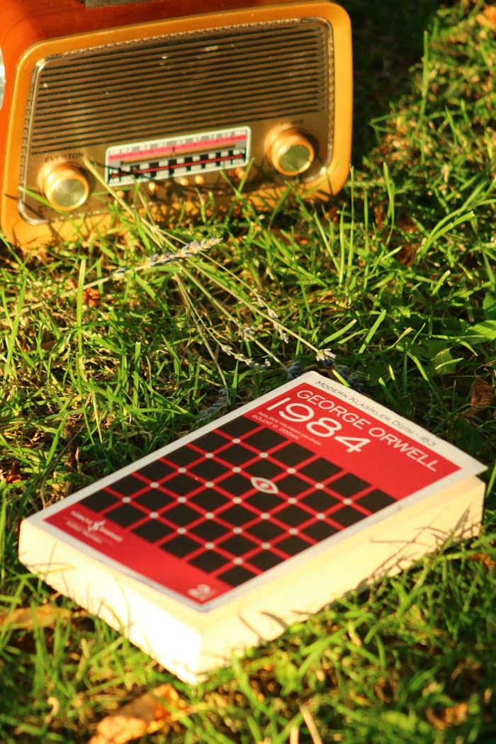 gallery-6 Vintage radio and George Orwell's '1984' on grass outdoors, offering retro vibes.